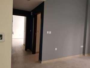 Living Room Painting