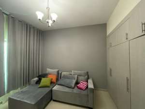 Apartment painting services 1BHK